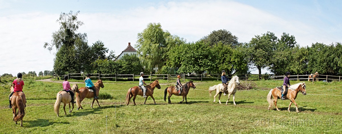 IMG_0228_2011_©_flintfoto.dk Panorama.jpg